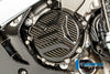2009-18 S1000RR Alternator Cover Carbon
